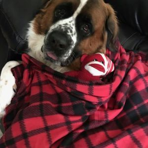 Meet your Posher, Jenda